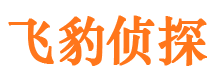 灵寿外遇出轨调查取证